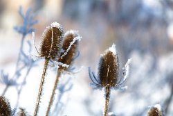 09 10-Feb-13 09-20-50 D300 048